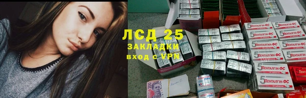 ГАЛЛЮЦИНОГЕННЫЕ ГРИБЫ Красноперекопск